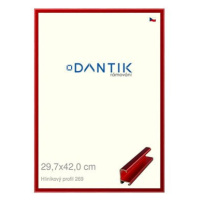 DANTIK rámeček 29,7 × 42, ALU profil 7269 Červený Trumalin broušený plexi čiré