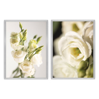 Dekoria Sada obrázků Flowers 2ks, 50 x 70 cm