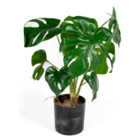 Dekorativní umělá rostlina - Hawaj - 30 cm
