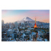 Fotografie Mt. Fuji and Tokyo skyline, Jackyenjoyphotography, (40 x 26.7 cm)