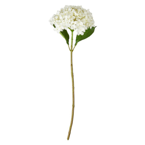 FLORISTA Hortenzie 63 cm - bílá