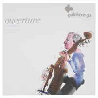 Galli OV81-S Overture Bass SYC 3/4