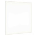 PAULMANN Velora LED Panel 595x595mm 34 W bílá mat 798.18