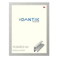 DANTIK rámeček 15 × 20, ALU profil 6220 Stříbrný matný sklo čiré