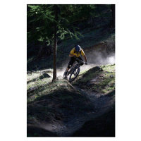 Fotografie Mountain biker on dirt path, Michael Truelove, 26.7 × 40 cm