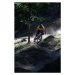 Fotografie Mountain biker on dirt path, Michael Truelove, 26.7 × 40 cm