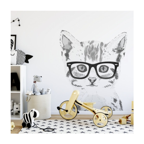 Yokodesign Samolepka na zeď - kočka v brýlích Velikost: L, Barva brýlí: černá