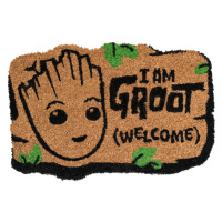 Rohožka Marvel - I Am Groot, 60 × 40 cm