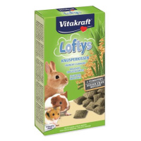 Loftys VITAKRAFT 100 g