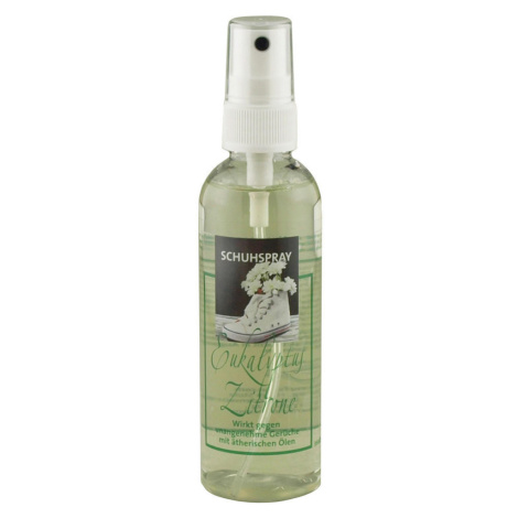 XXXL POKOJOVÁ VŮNĚ citron, eukalyptus/blahovičník, 100 ml