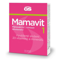 GS Mamavit 1 Plánování a 1. trimestr tbl.30