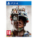 Call of Duty: Black Ops Cold War (PS4)