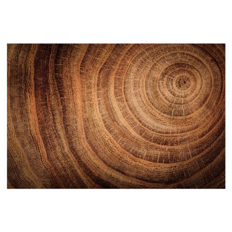 Fotografie wooden background, Trifonov_Evgeniy, 40 × 26.7 cm