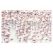 Fotografie Flock of flamingos, Sisi & Seb, (40 x 26.7 cm)