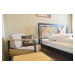 IRON-ART DOVER - kovová postel v industriálním stylu 160 x 200 cm