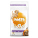 IAMS Dog Puppy Large Chicken 3kg