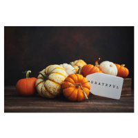 Fotografie Collection of miniature pumpkins in wooden crate with GRATEFUL message for Fall and T