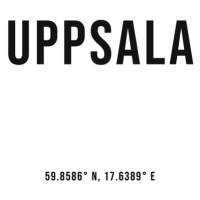 Ilustrace Uppsala simple coordinates, Finlay & Noa, 30x40 cm