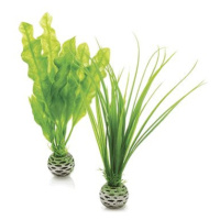 biOrb Easy plant set S zelená
