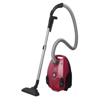 Electrolux Sáčkový vysavač PowerForce EPF61RR