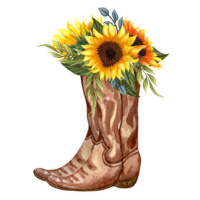 Fotografie Watercolor Flowers in boots. Cowboy boot, BarvArt, 40 × 40 cm