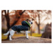 Vsepropejska Coldy bunda pro psa s kapucí Barva: Černo-oranžová, Délka zad (cm): 34, Obvod hrudn