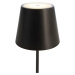 Light Impressions Deko-Light stolní lampa Sheratan I DIM 5V DC 2,20 W 3000 K 154 lm 100 černá 34