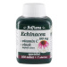 MedPharma Echinacea 100 mg + vitamin C + zinek 107 tablet