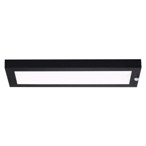 Paulmann Paulmann 94256_1 - LED/10W IP44 Venkovní stropní svítidlo se senzorem 230V