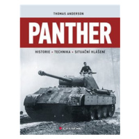 Panther - Thomas Anderson