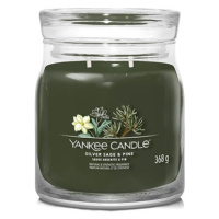 YANKEE CANDLE Signature 2 knoty Silver Sage & Pine 368 g