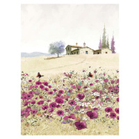 Obraz na plátně Styler Violet Poppies, 50 x 70 cm