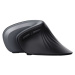 Trust Verro Ergonomic Wireless Mouse 23507 Černá