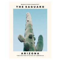 Fotografie The Saguaro (Arizona, USA), 30 × 40 cm