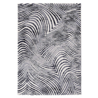 Kusový koberec ARGENTUM 63738/7696 120x170 cm
