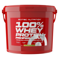 SciTec Nutrition 100% Whey Protein Professional banán 5000 g