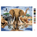 Malování podle čísel - ZVÍŘATA U OÁZY AFRIKA (HOWARD ROBINSON) Rozměr: 40x50 cm, Rámování: vypnu