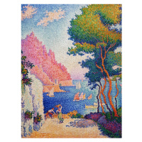 Obrazová reprodukce Cape of Noli, Paul Signac, 30 × 40 cm