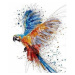 Malování podle čísel - Papoušek 40 x 50 cm (s rámem)