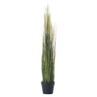 Dekoria Dekorace z trávy Pampas Gras 100cm, 100 cm