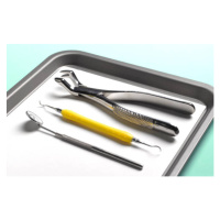 Fotografie DENTAL TOOLS PREPARED FOR TOOTH EXTRACTION, Peter Dazeley, 40 × 26.7 cm