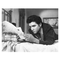 Fotografie Elvis Presley, 40 × 30 cm