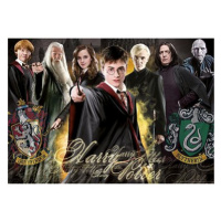 EDUCA Harry Potter 1000 dílků