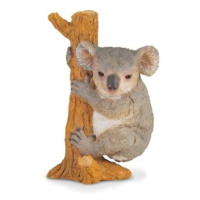 COLLECTA Koala na stromě