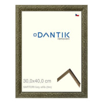 DANTIK rámeček 30 × 40, SARTORI listy stříb plexi čiré