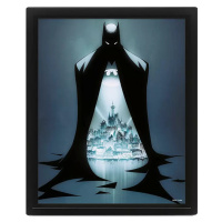 3D obraz Batman - Gotham protector
