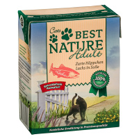 Best Nature Adult Cat 16×370 g – výhodné balení - losos v omáčce