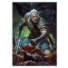 Puzzle The Witcher: Dark World  1000