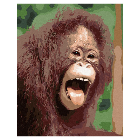 Orangutan s otevřenou tlamou, 80×100 cm, bez rámu a bez vypnutí plátna