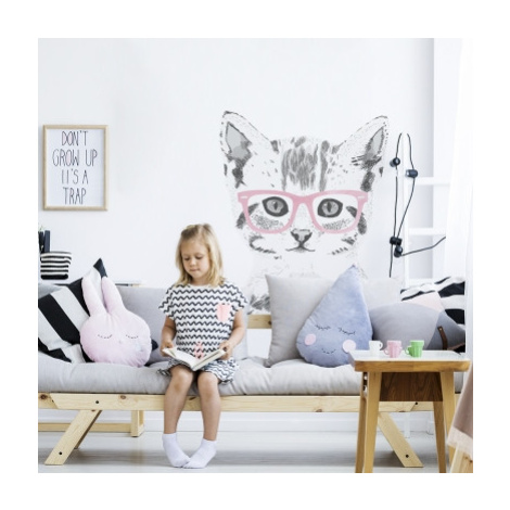 Yokodesign Samolepka na zeď - kočka v brýlích Velikost: XXL, Barva brýlí: růžová